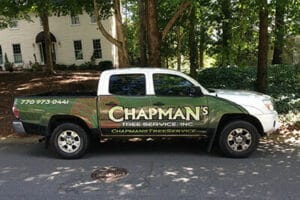 Chapman's Tree Service