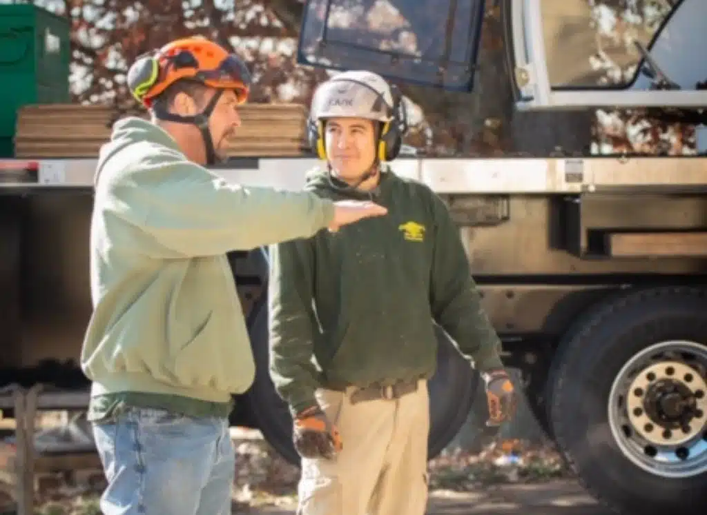 chapman workers consulting