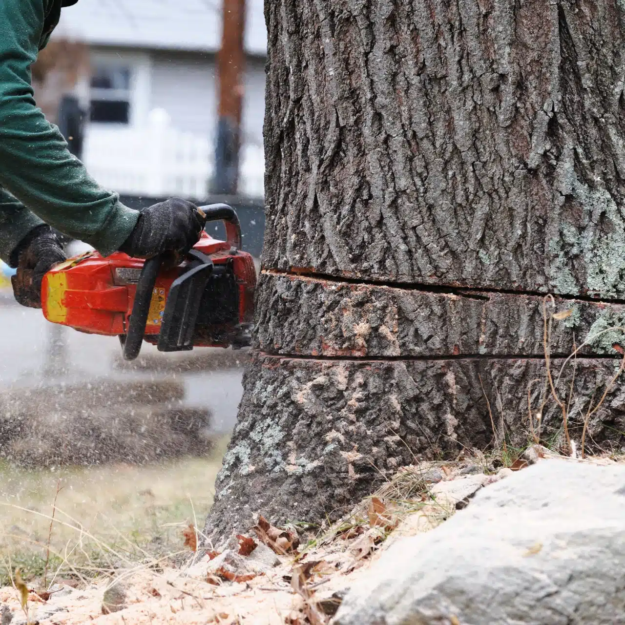 man cutting down a tree with a chainsaw