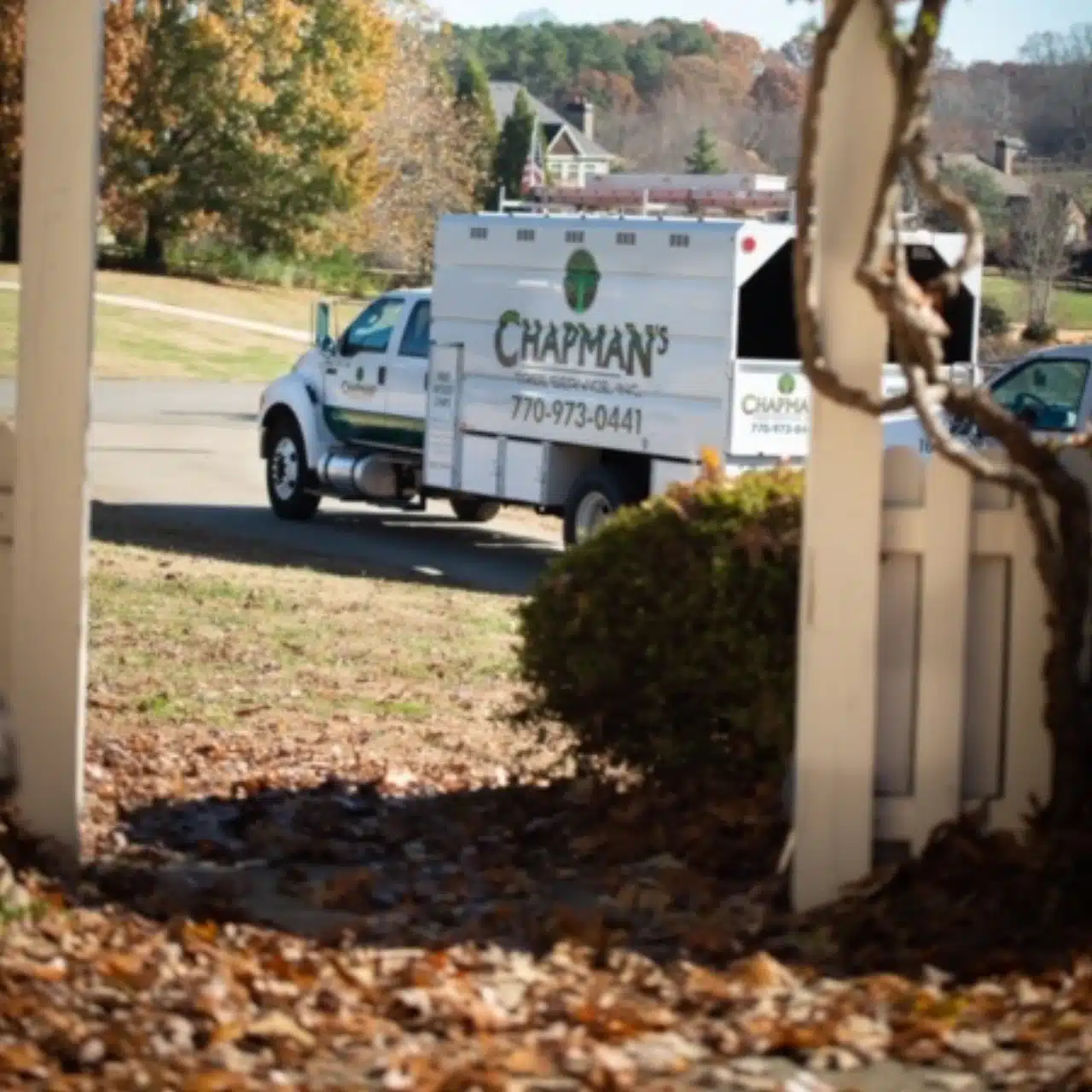 Chapman's Tree Service truck driving after a completed job