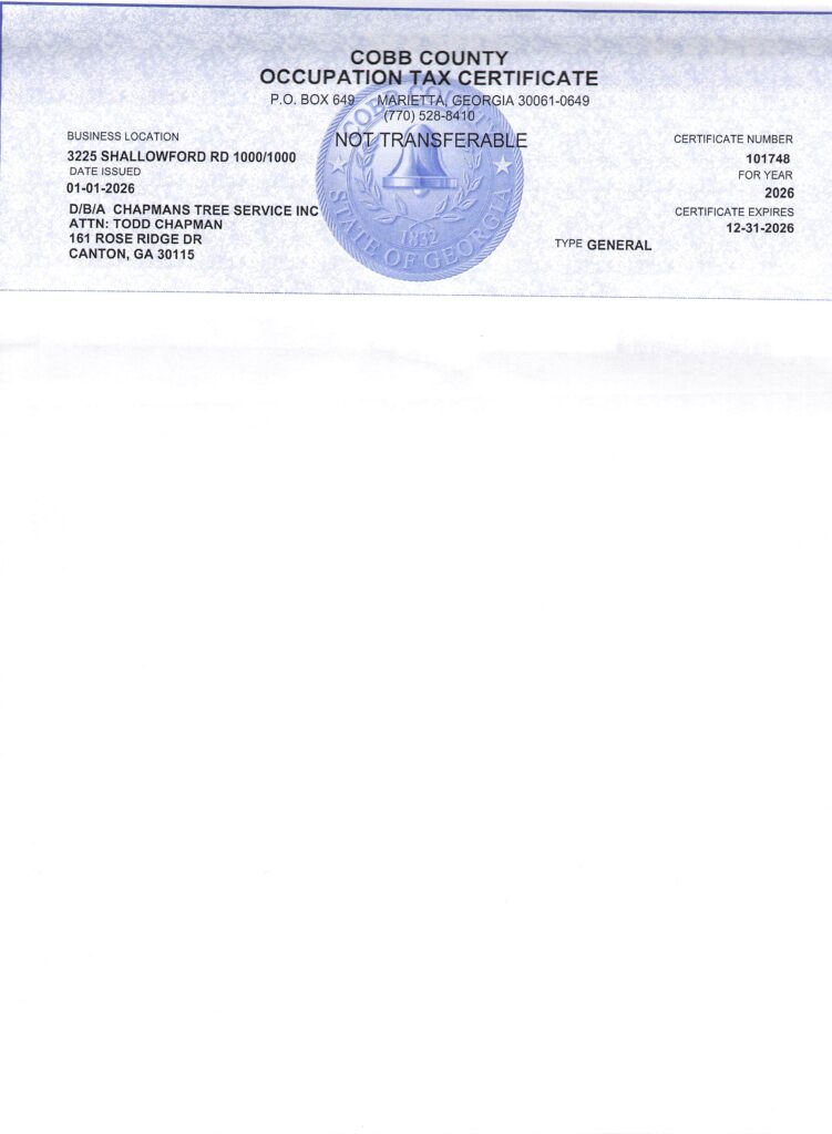 Business License